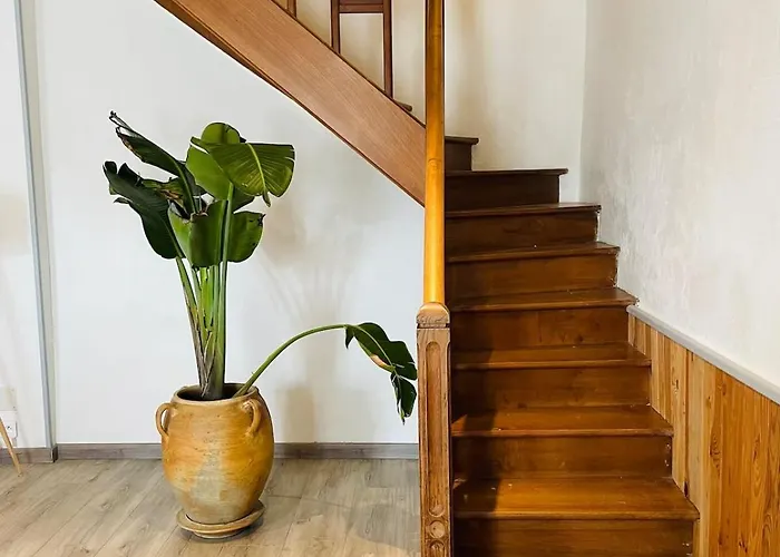 La Maison De La Brousse Holiday home